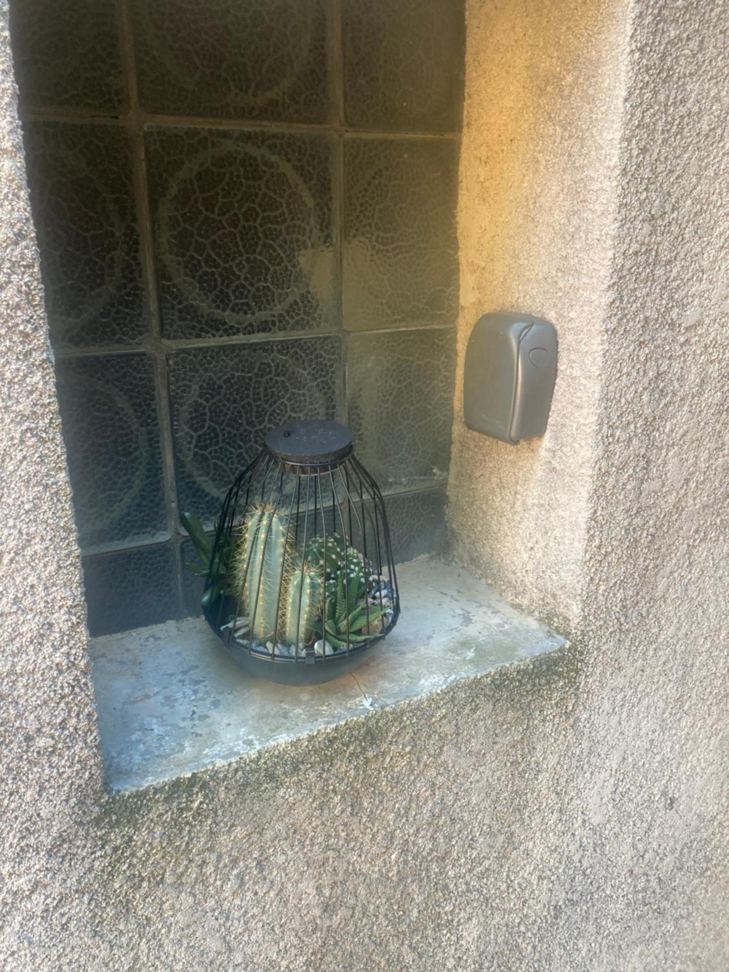 Maison Delmas, L'Oustal Du Recantu Sainte-Eulalie  外观 照片